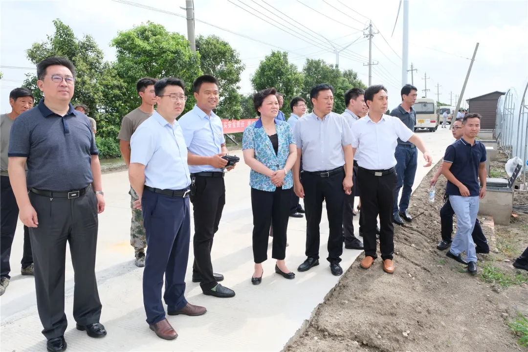 市人大视察“四河四路”乡村振兴综合试验区建设情况